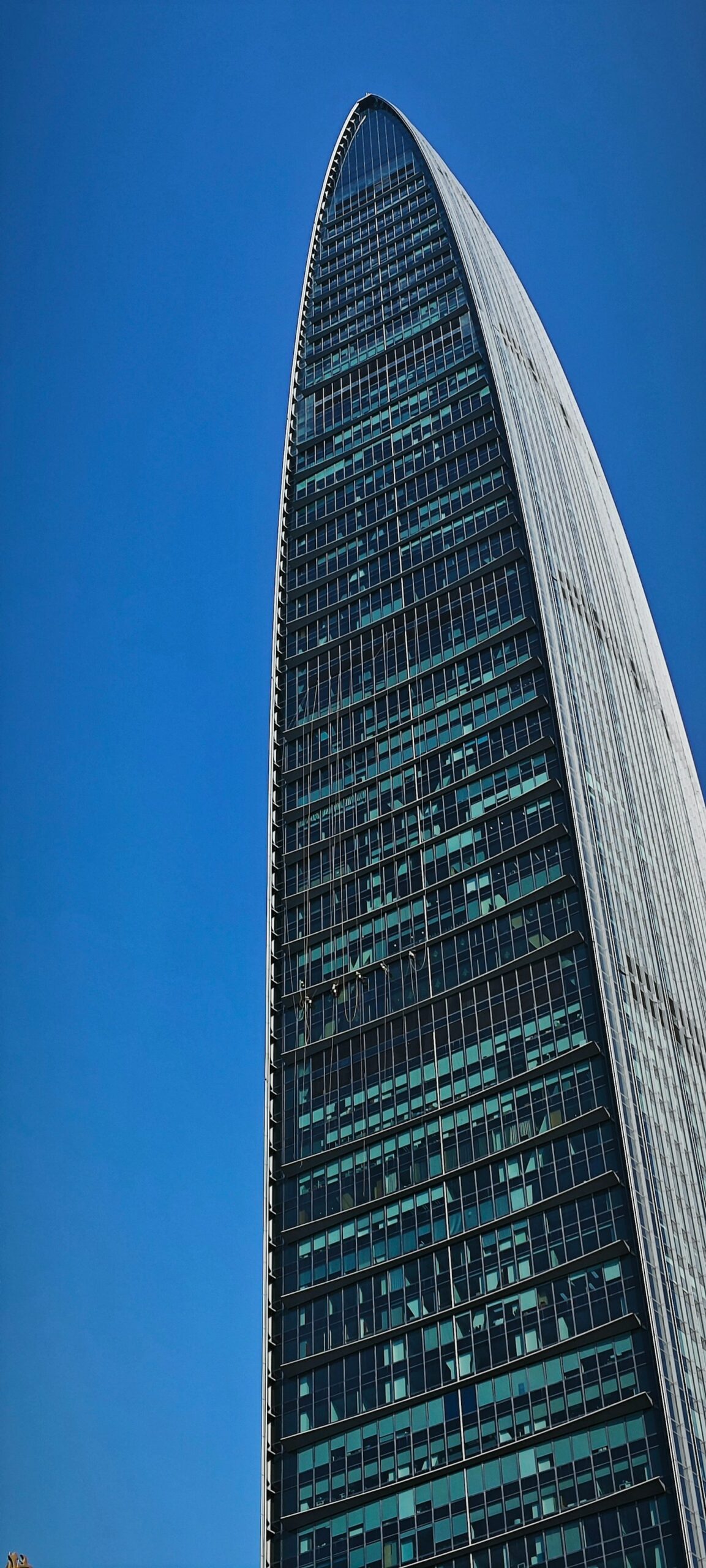 Success Stories: Businesses Transformed by BBS Global